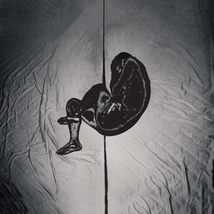 美女自扒内内图
